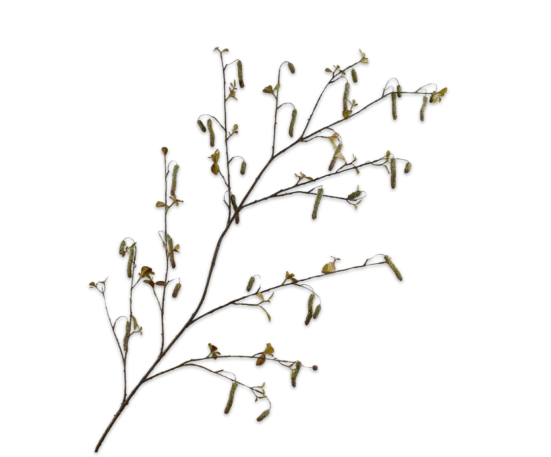 Alnus groen - Silk-ka - H160 cm