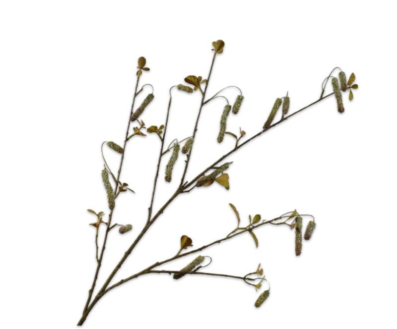 Alnus groen - Silk-ka - H113 cm