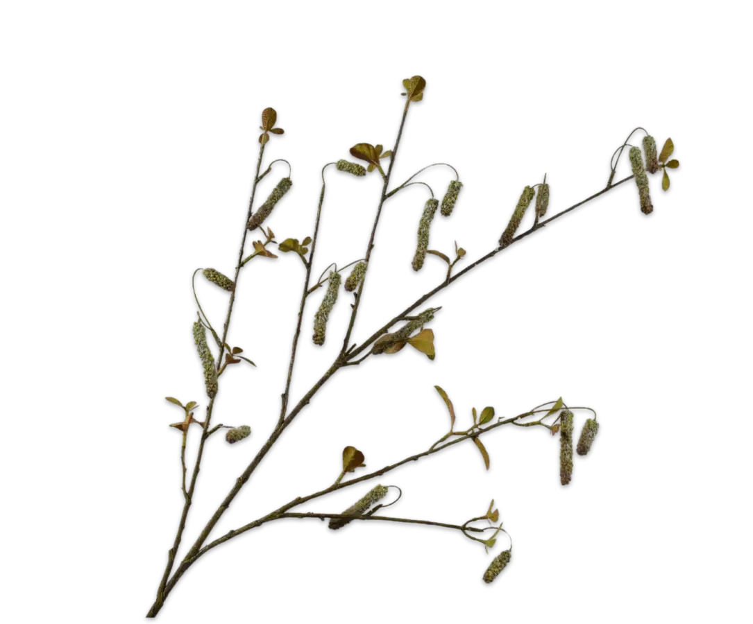 Alnus groen - Silk-ka - H113 cm