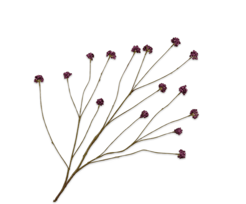 Callicarpa paars - Silk-ka - H94 cm