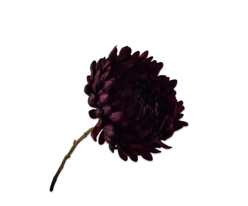 Chrysant bordeaux - Silk-ka - H76 cm