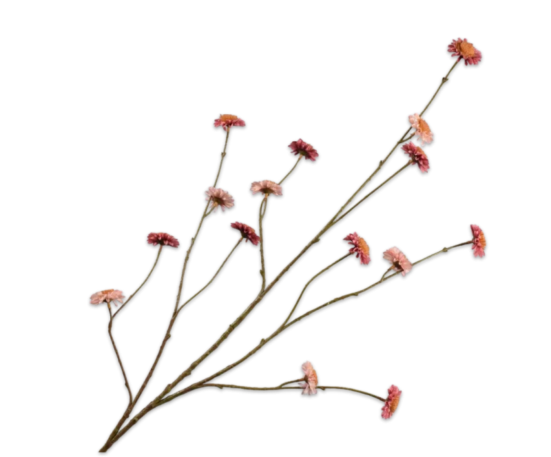 Chrysant roze - Silk-ka - H123 cm