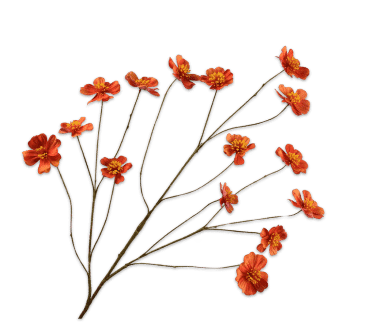 Cosmos oranje - Silk-ka - H94 cm