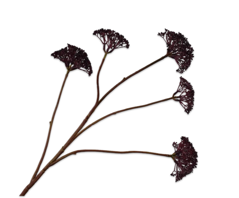 Dille paars - Silk-ka - H78 cm