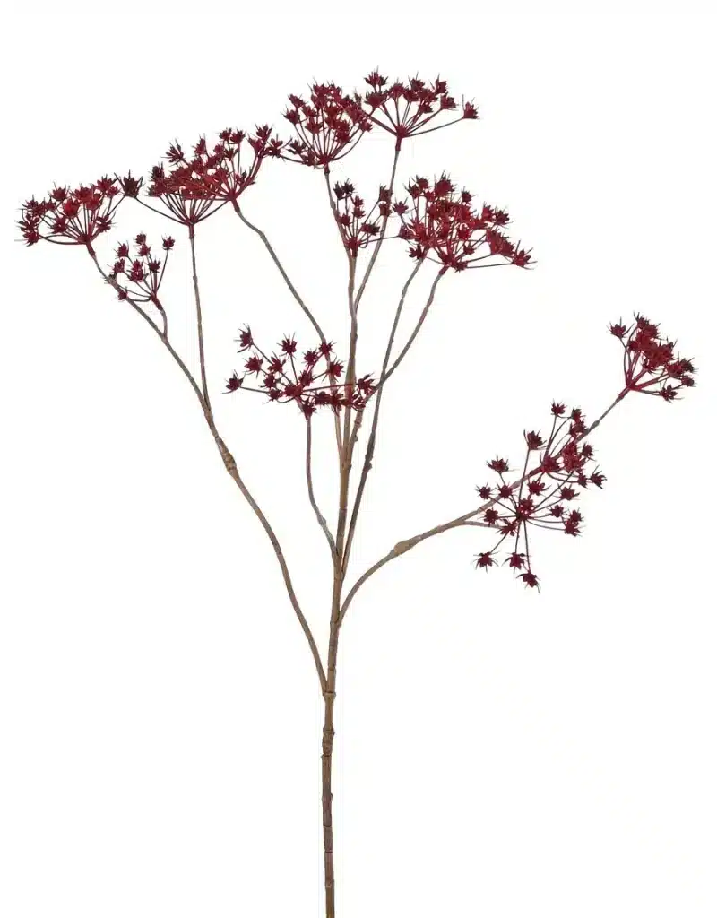 Fluitkruid rood - H90 cm