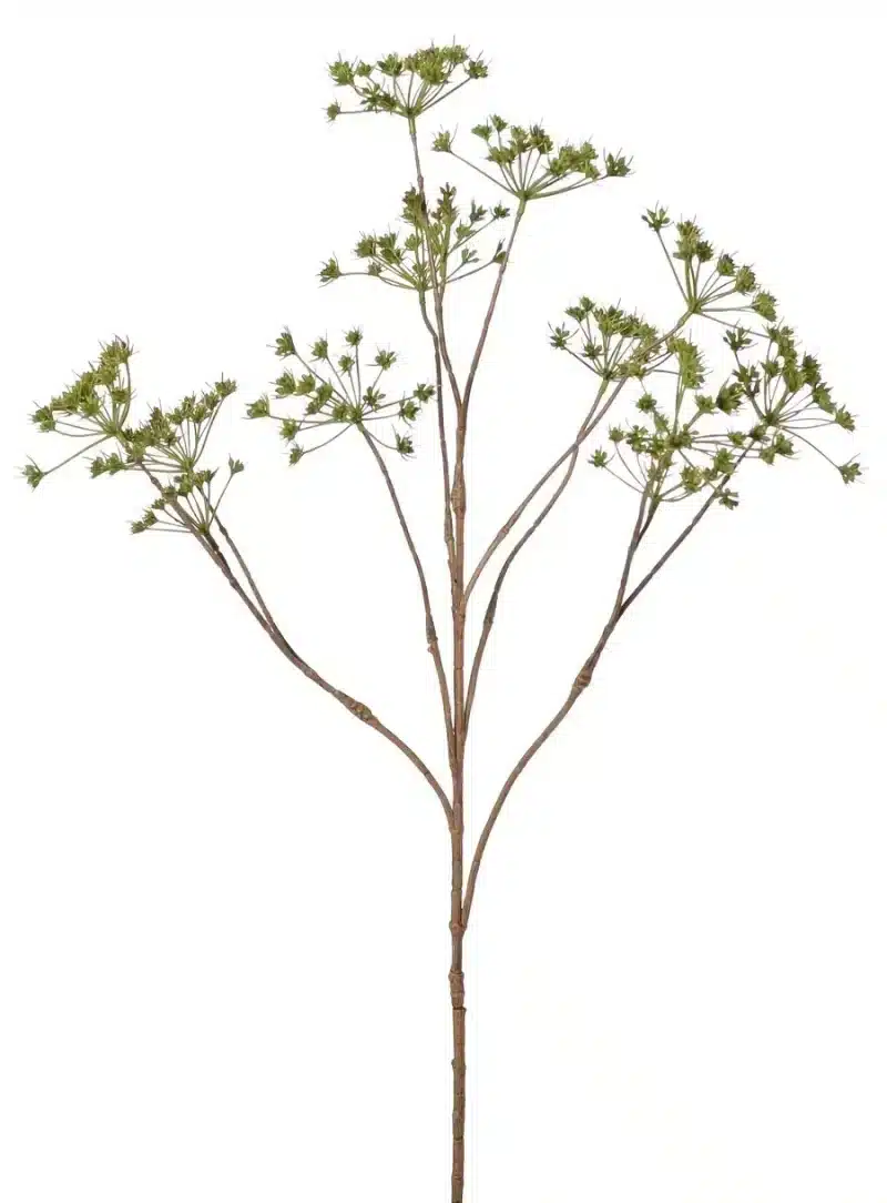 Fluitkruid groen - H90 cm