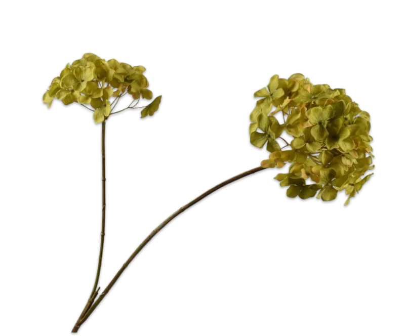 Hortensia groen - Silk-ka - H85 cm