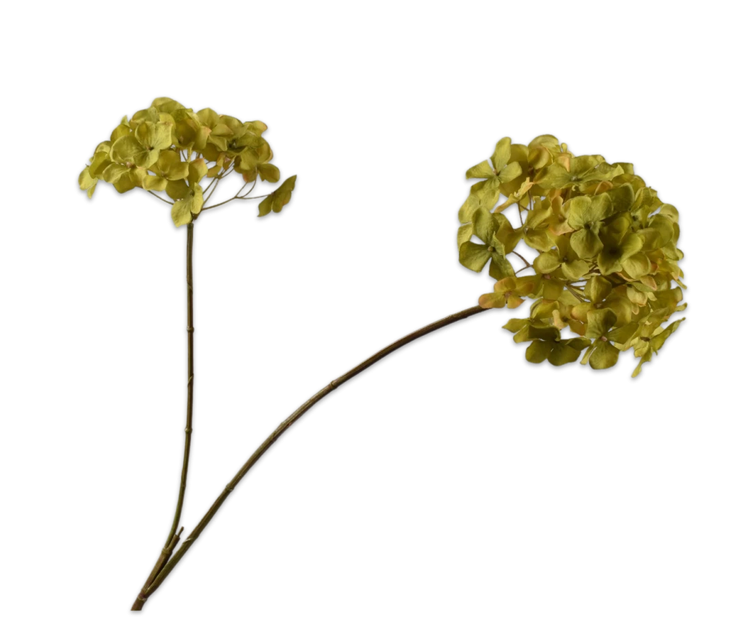 Hortensia groen - Silk-ka - H85 cm