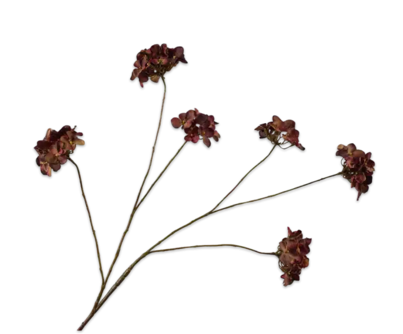 Hortensia rood bruin - Silk-ka - H119 cm