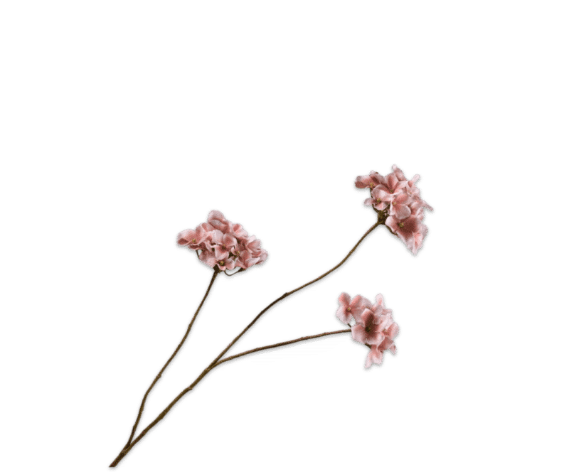 Hortensia roze bruin beige - Silk-ka - H85 cm