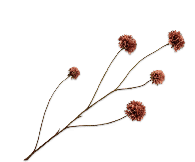 Korenbloem bruin - Silk-ka - H91 cm