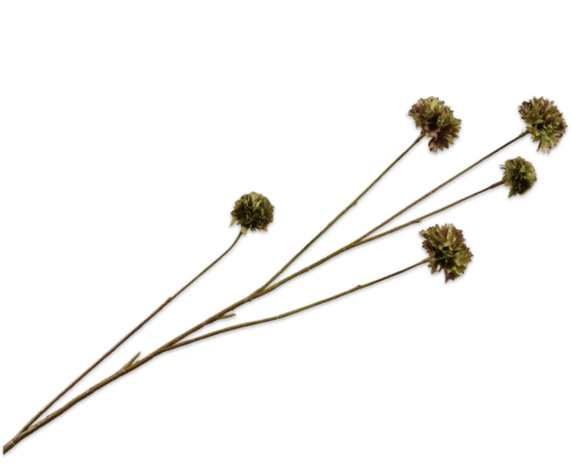 Korenbloem bruin/groen - Silk-ka - H91 cm