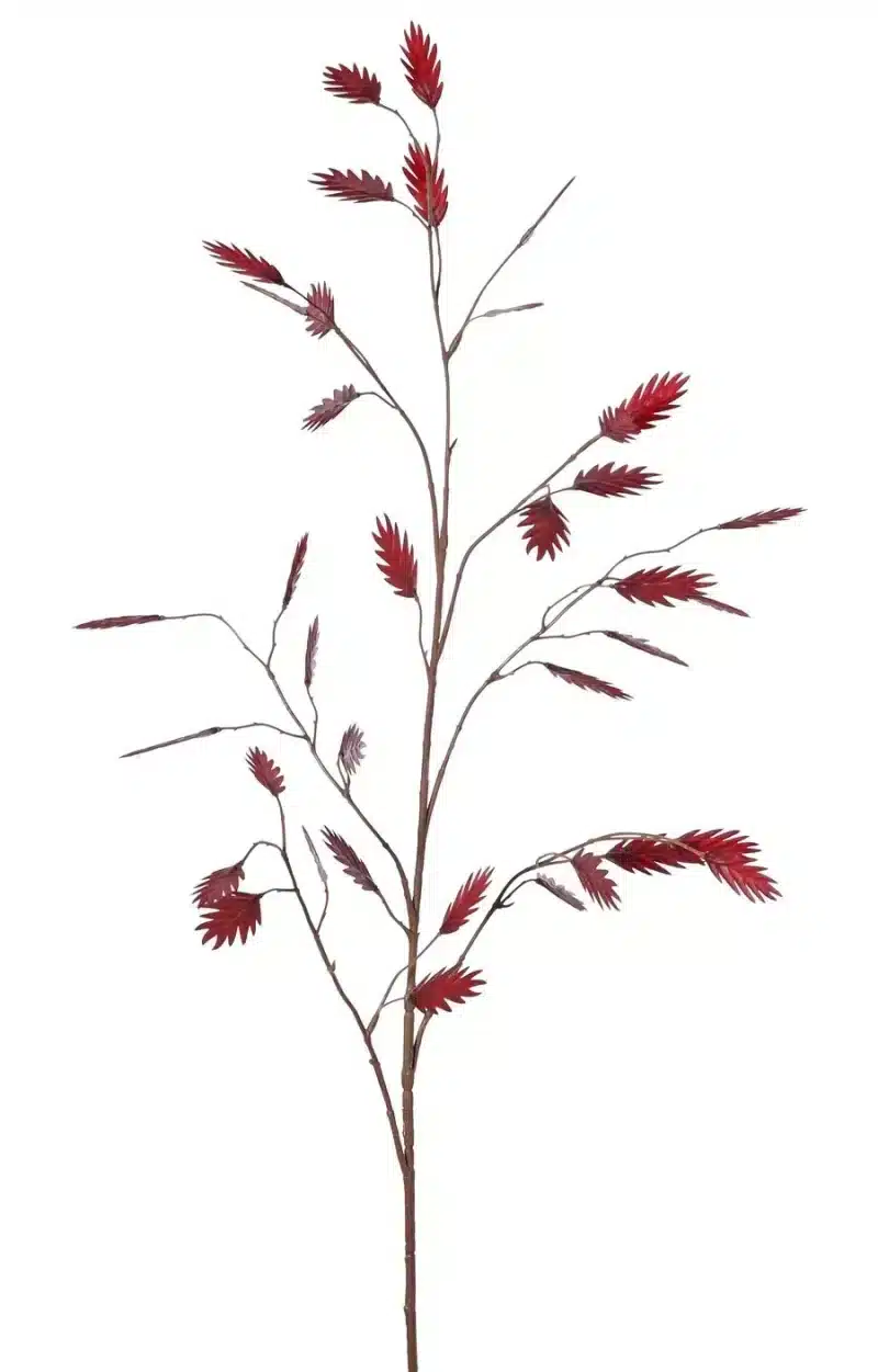 Plataargras rood - H105 cm