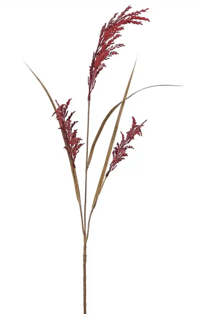 Rijsttak rood - H100 cm