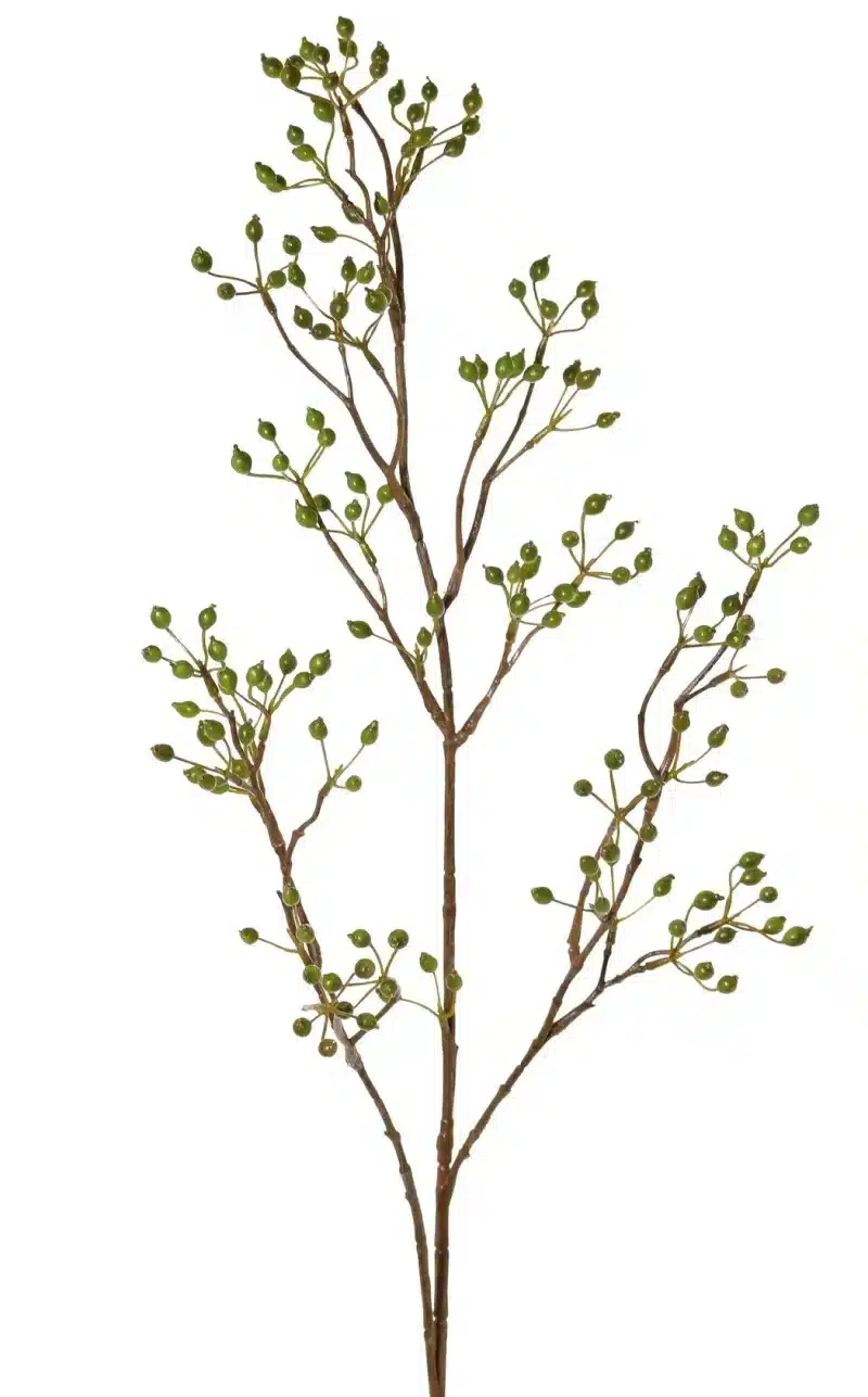 Rozenbottel groen - H100 cm