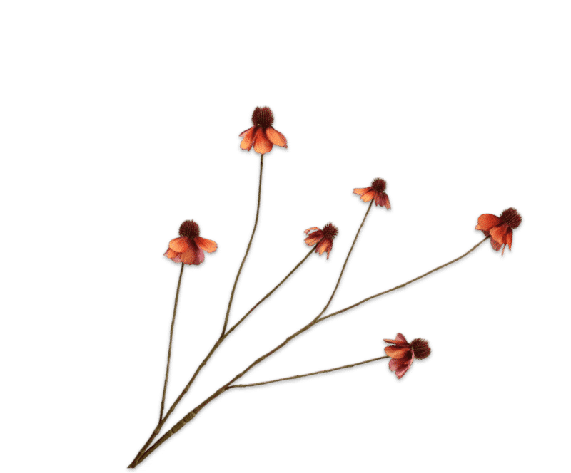 Rudbeckia oranje - Silk-ka - H95 cm