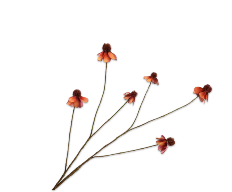 Rudbeckia oranje - Silk-ka - H95 cm