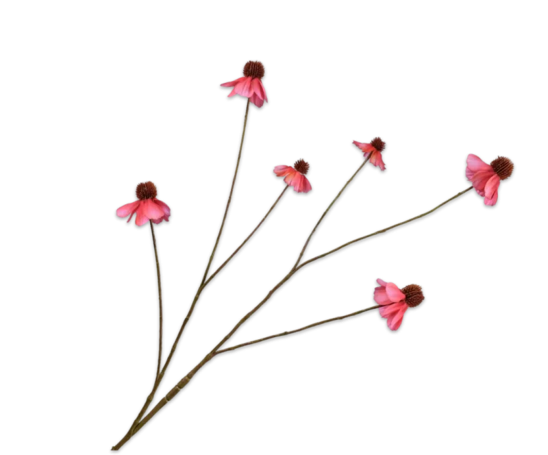 Rudbeckia roze - Silk-ka - H95 cm