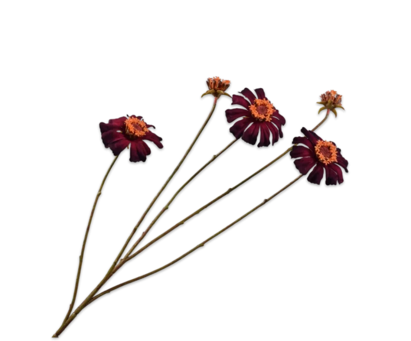 Zinnia bordeaux - Silk-ka - H89 cm