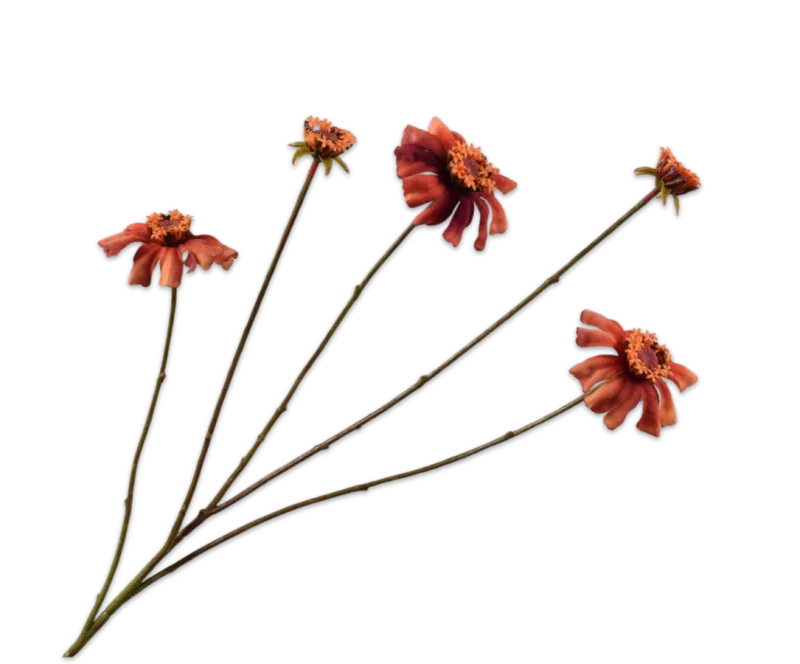 Zinnia oranje bruin - Silk-ka - H89 cm