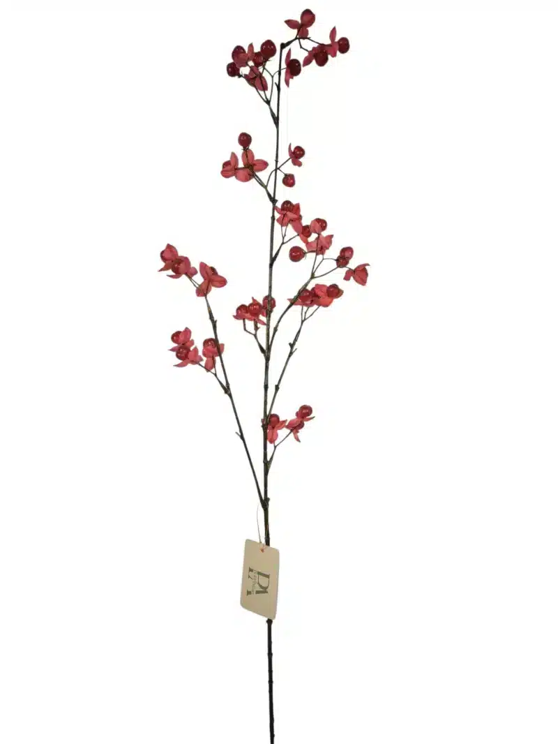kardinaalsmuts