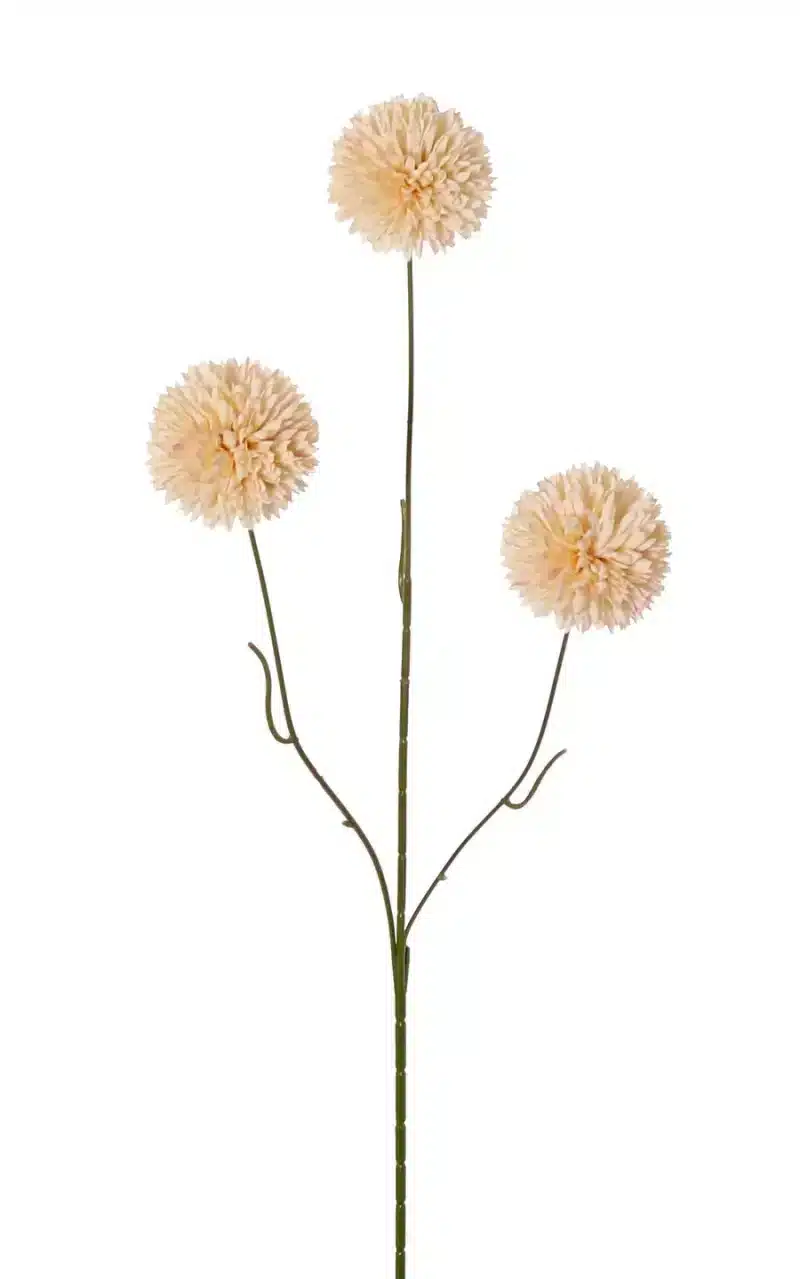 Bolchrysant creme - H65 cm