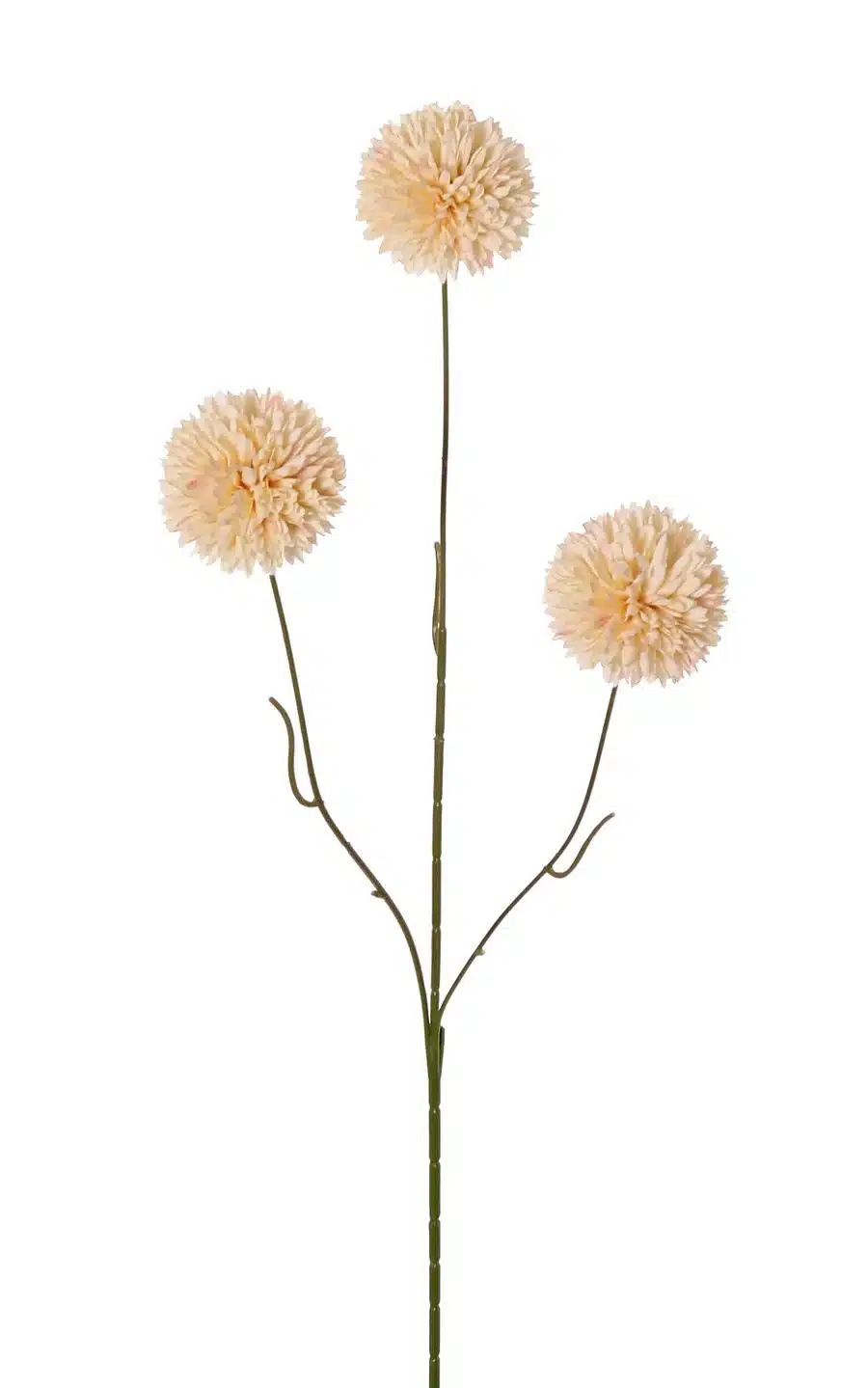 Bolchrysant creme - H65 cm