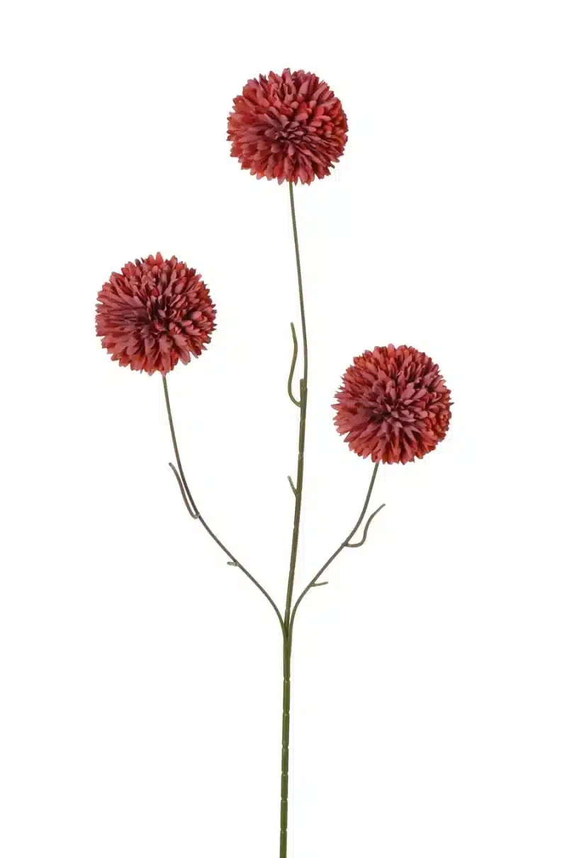 Bolchrysant rood/roze - H65 cm