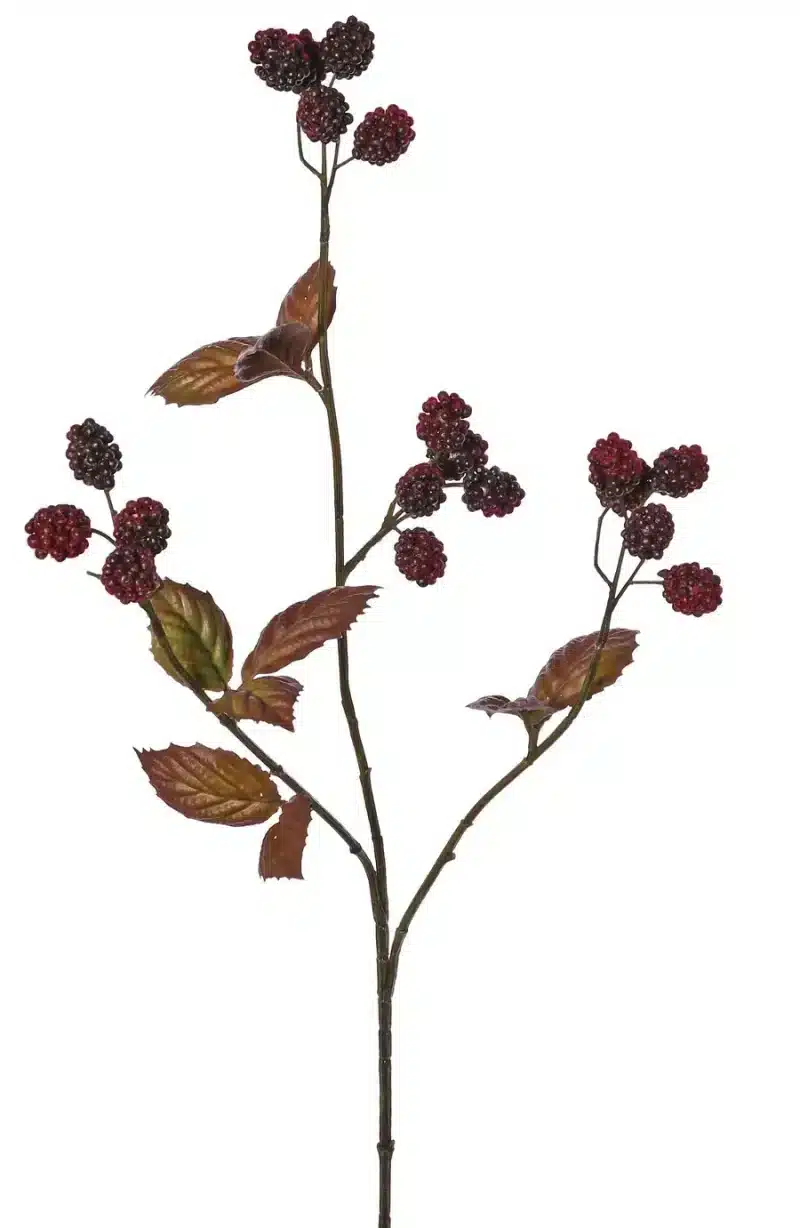 Bramentak bruin - H82 cm