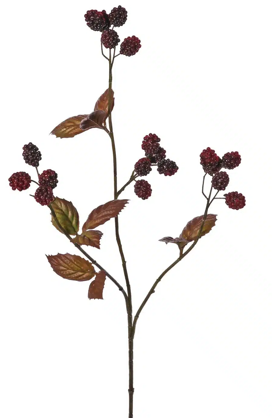 Bramentak bruin - H82 cm