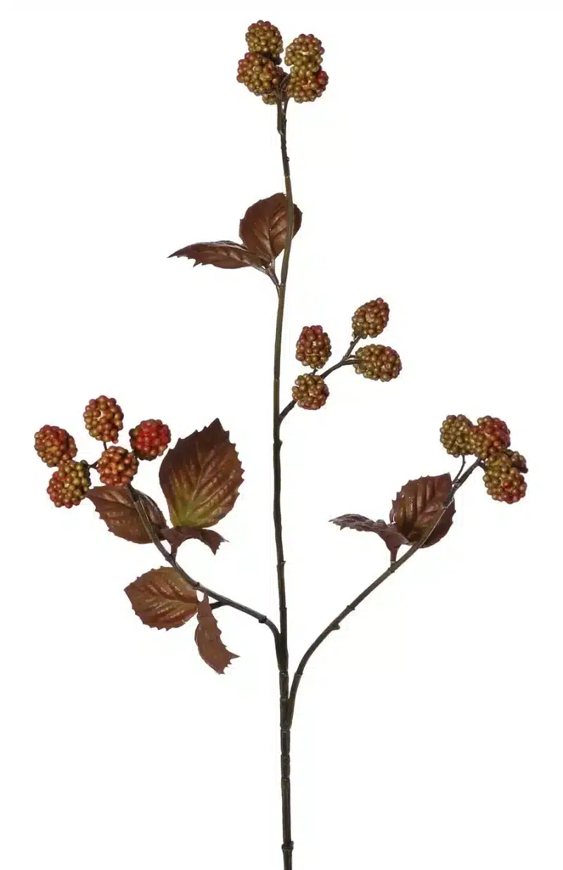 Bramentak groen/bruin - H82 cm