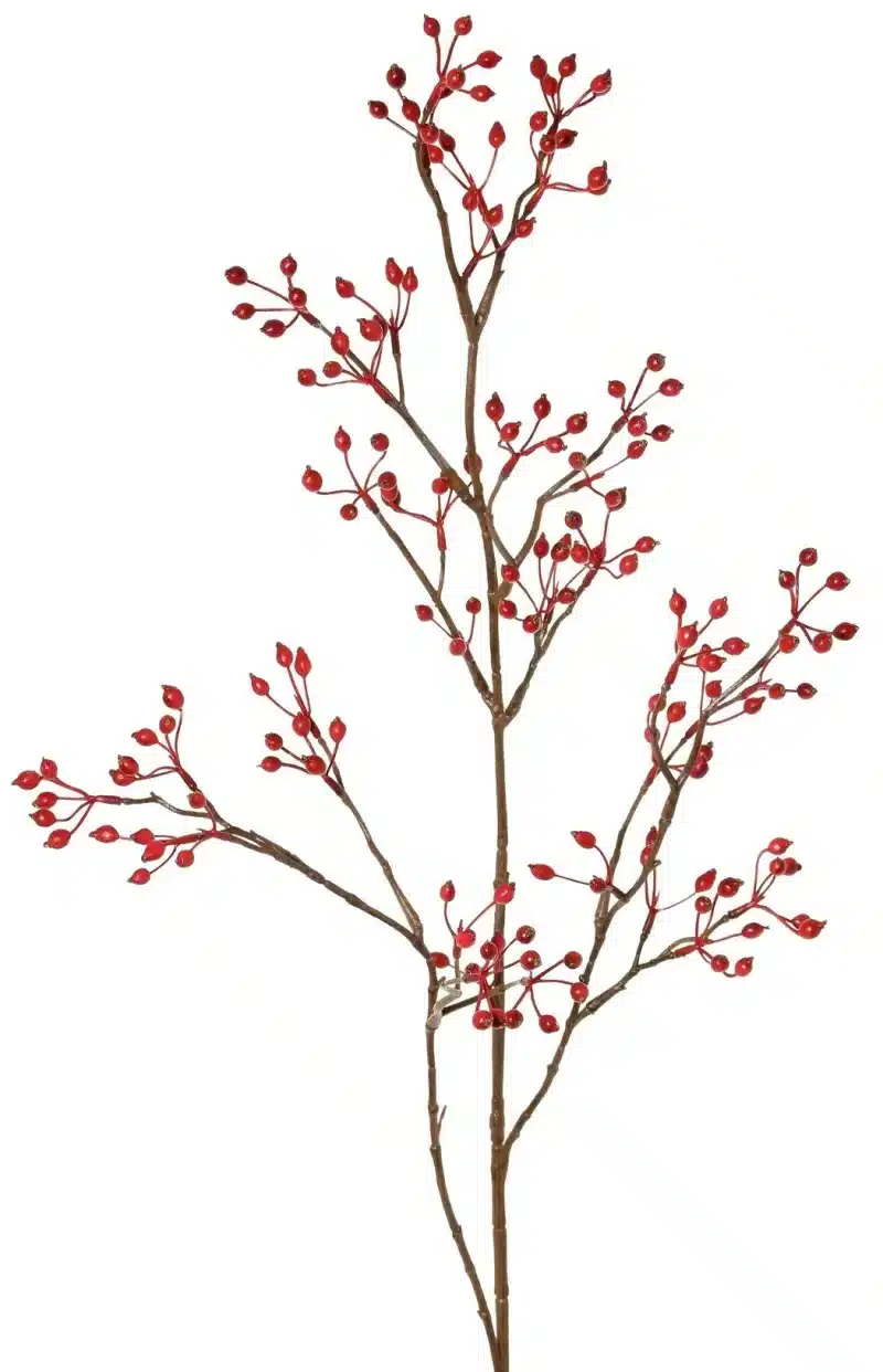 Rozenbottel rood - H100 cm